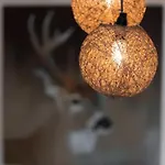 La Clairiere Aux Cerfs Hotel