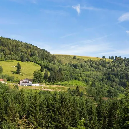 La Clairiere Aux Cerfs * Ventron