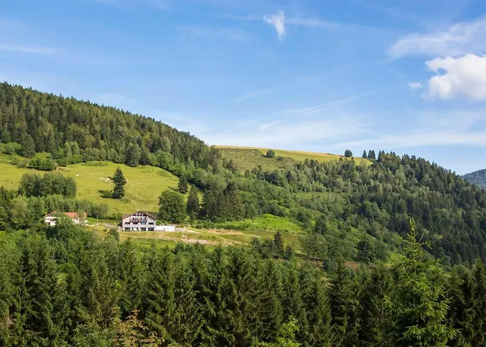 La Clairiere Aux Cerfs * Ventron